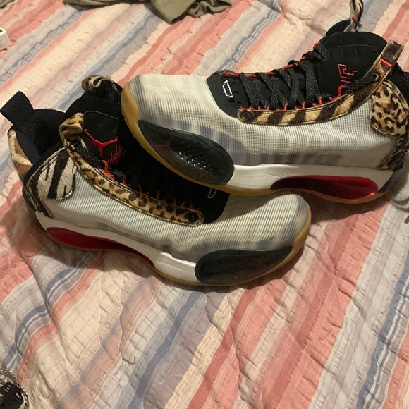 Air Jordan 34's Jason Tatum Welcome To The Zoo - Main Image